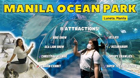 manila ocean park entrance fee per head